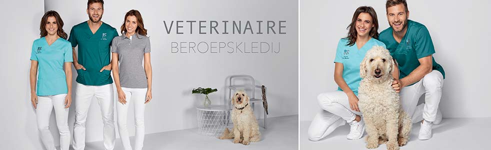 Dierenarts Dierenarts